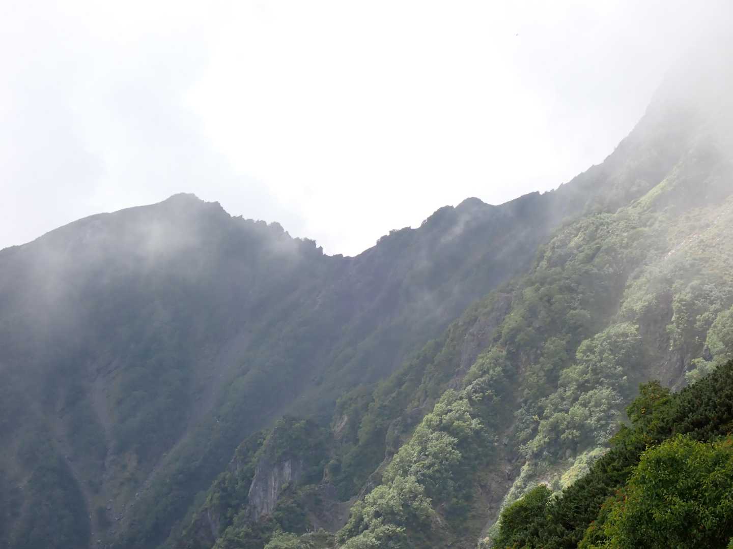 八本歯のコル