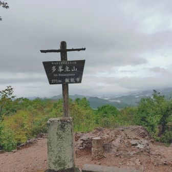 とーのすやま？どう見ても
たみねしゅやま👍