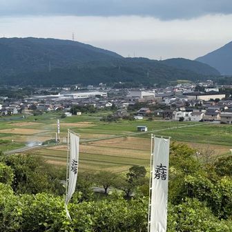 黒田長政の陣は見えない