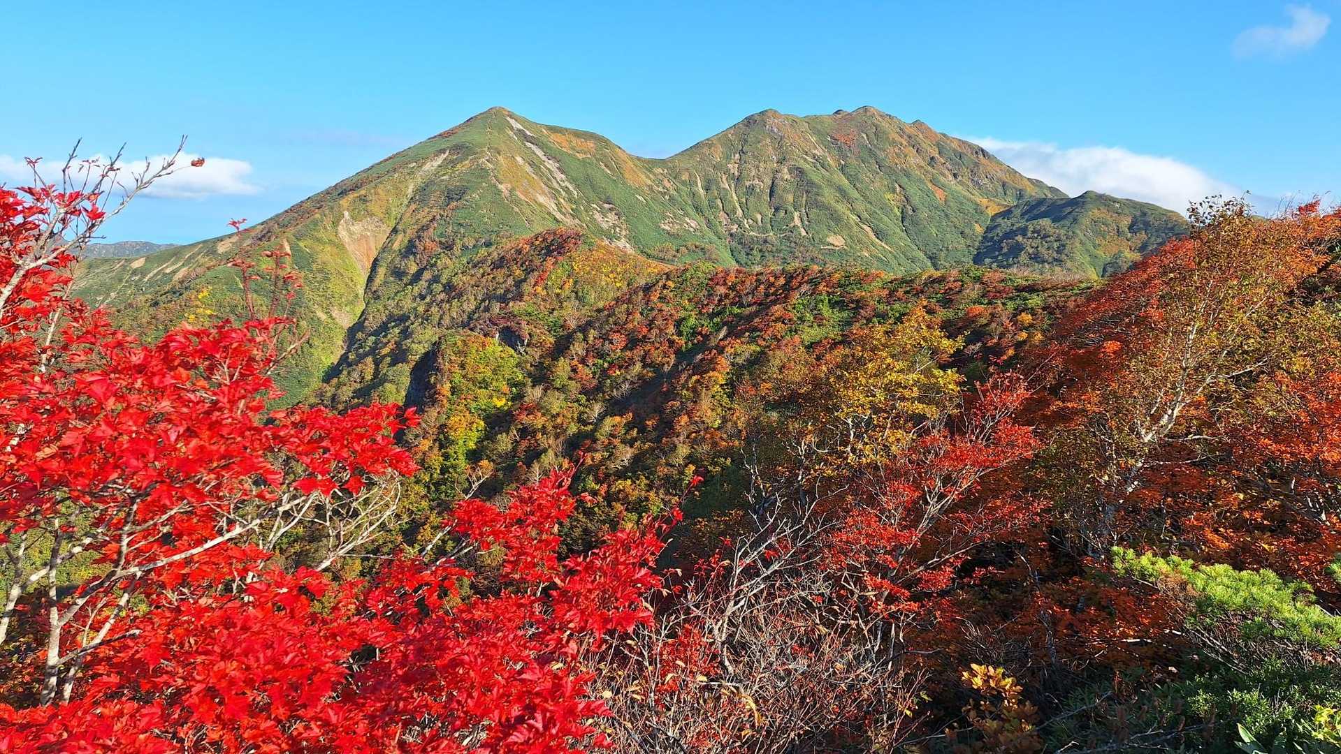 松ノ木沢ノ頭-白毛門-笠ヶ岳 往復コースの写真