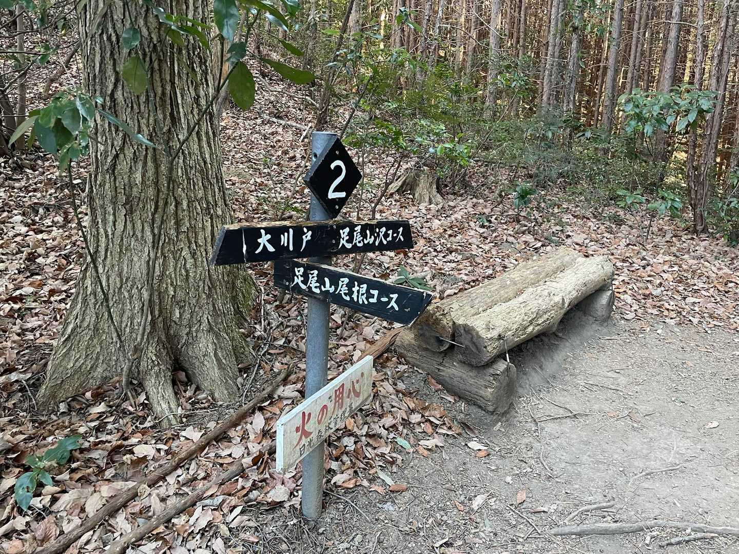 尾根コースを進みます(ง ˙˘˙ )ว