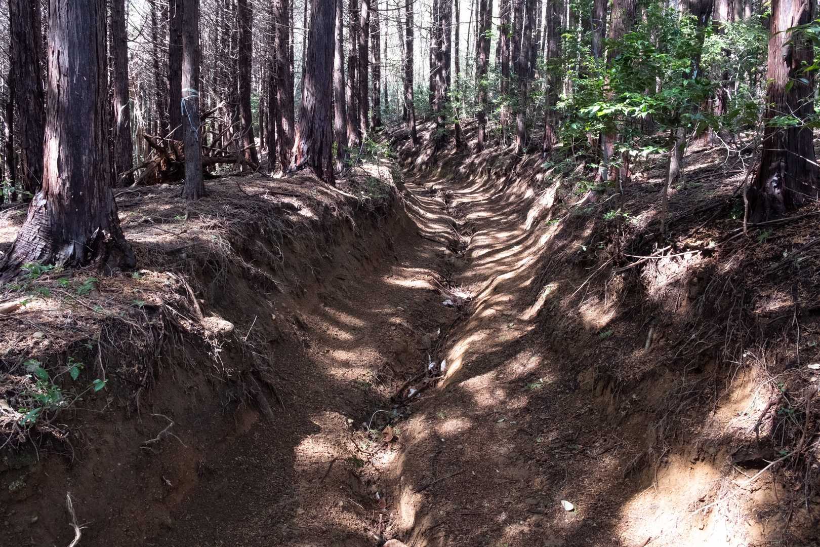 ライダーが走ったからか登山道の真ん中が溝になっちゃっています。
ちょっと歩きにくいです。