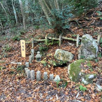 帰りはととや道で有馬温泉♨️側へ。登山口虫地獄🐝にあっという間に到着🛬