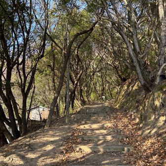 気持ちいい道🥰
でも暑い💦