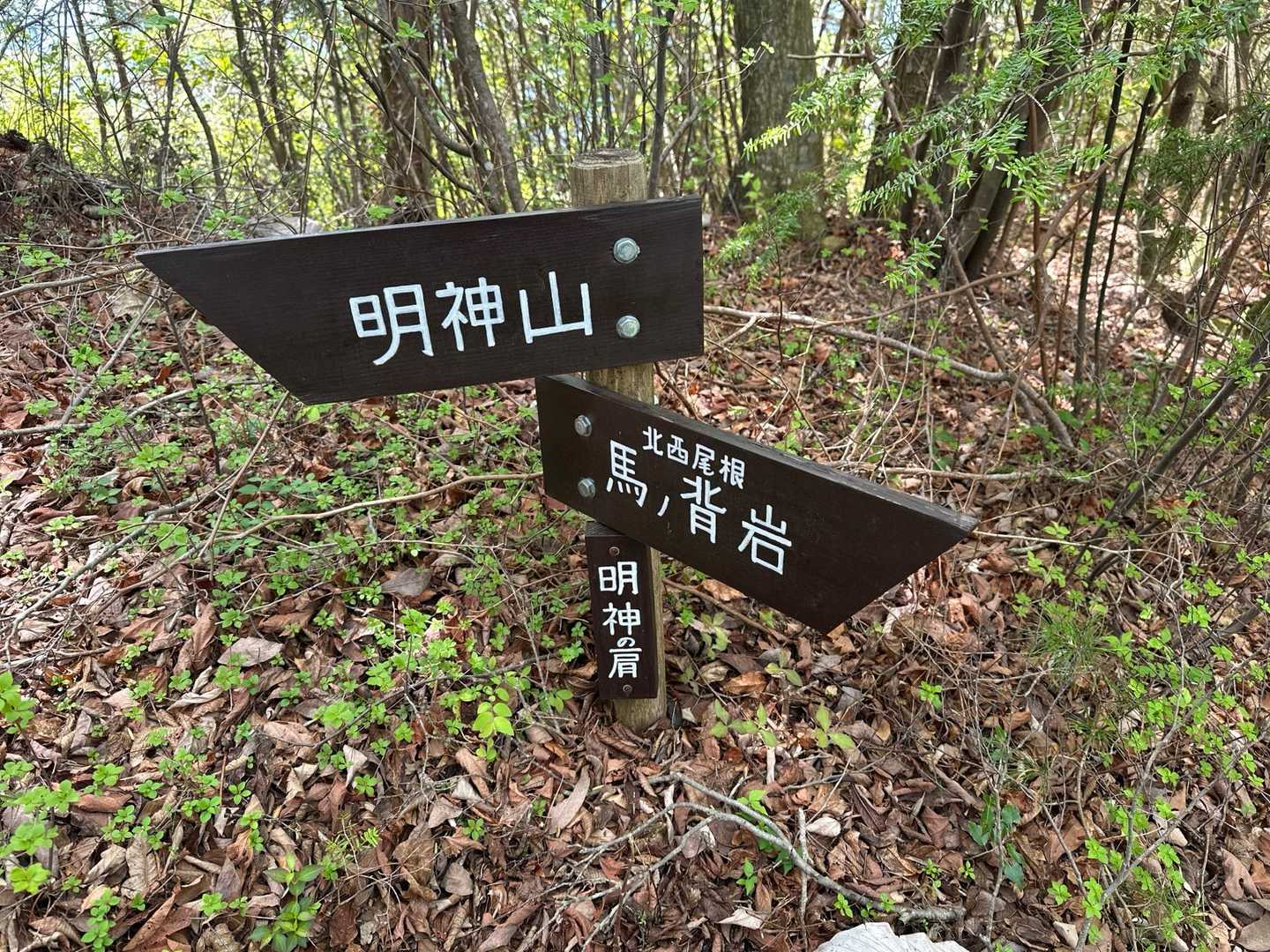 ガシガシ登って、明神の肩分岐点に到着