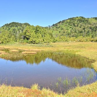 池塘と草紅葉の奥に志賀山と裏志賀山
