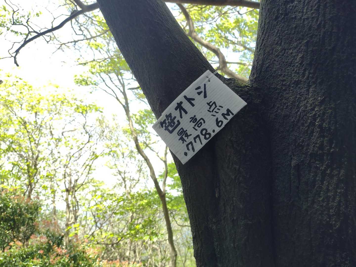 笹オトシ
最高点