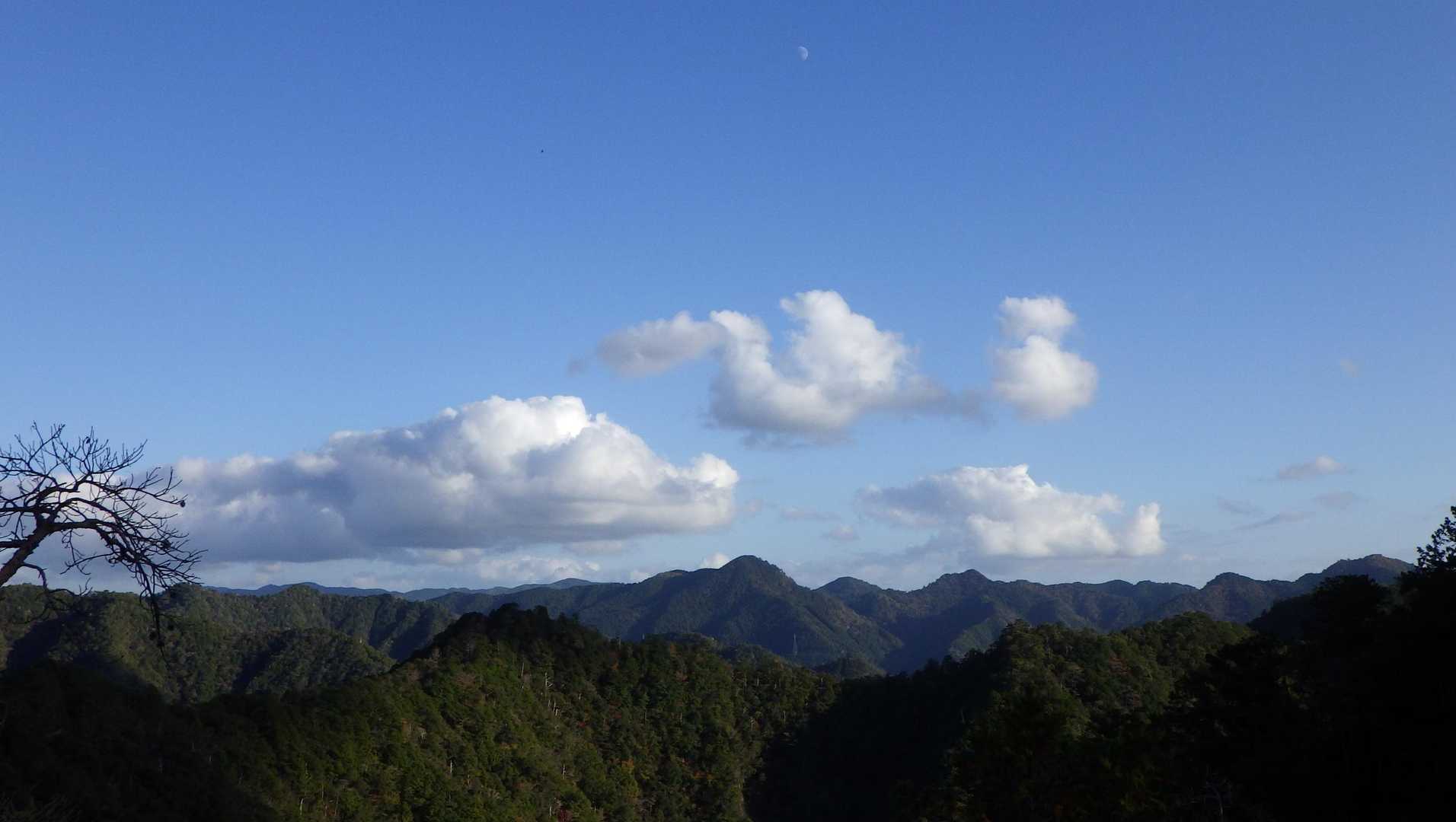 宇連山 往復コースの写真