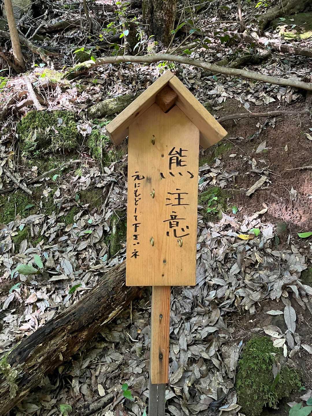 この看板見て、ガンガンに音楽流しながら登りました😅
地味な看板がホントにクマ出そうで怖い😨