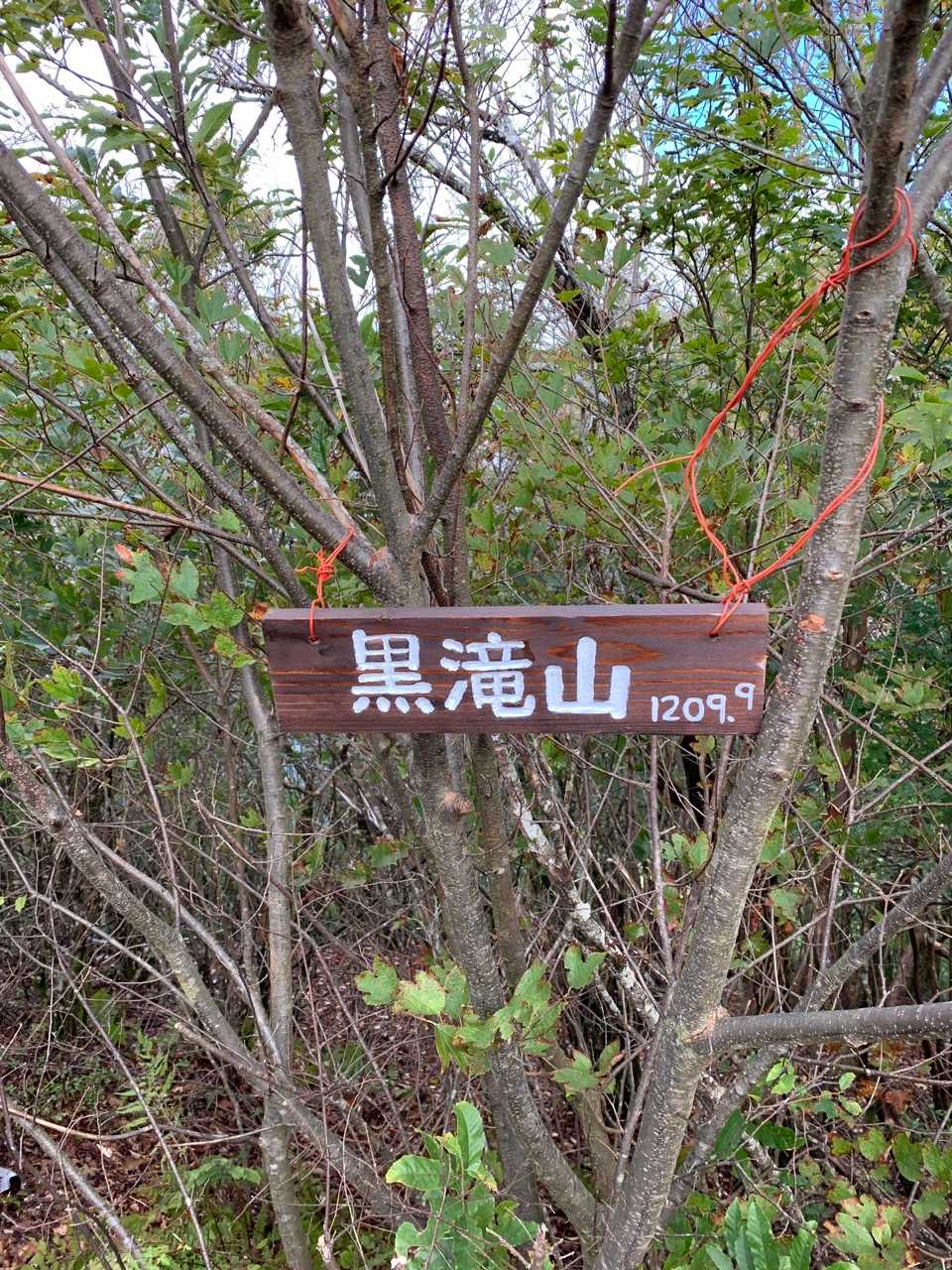 頂上