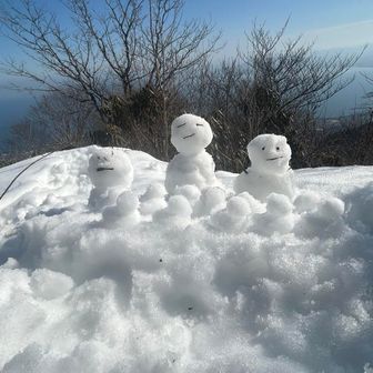 正解は2番✅琵琶湖バックにアヒルもたくさん😊