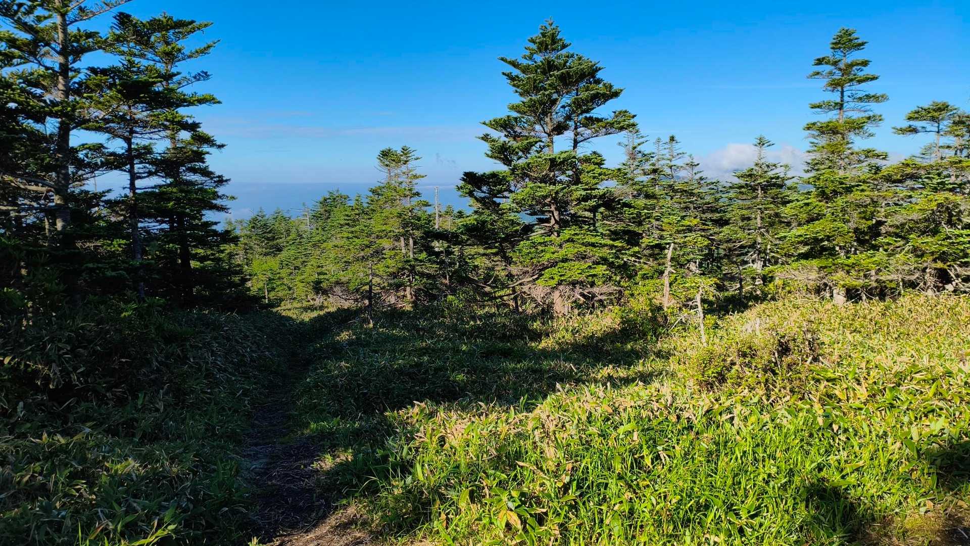 鳩打峠-小八郎岳-烏帽子岳-池ノ平山-念丈岳 周回コースの写真