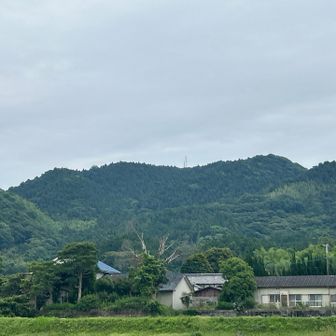神社前から振り返る