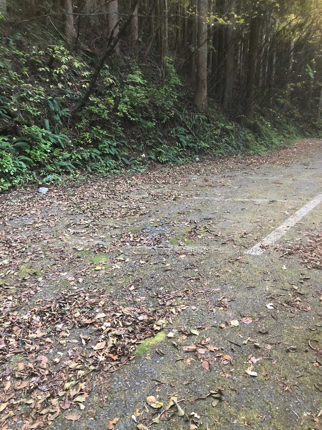 YAMAPの🅿️の場所！ここまでの道中、倒木やアスファルト剥がれてて車で行ける気がしなかっです🚗w本日も無事下山！ありがとうございました😊