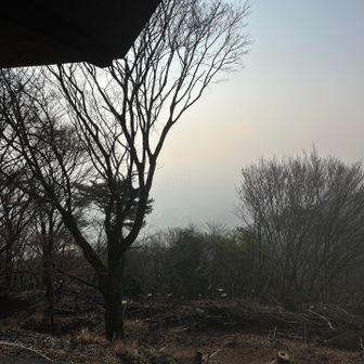 道路まで登って東屋からの景色
霞〜