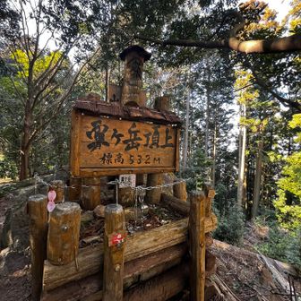 登頂しました✨

山頂標識付近には景色はありませんが…