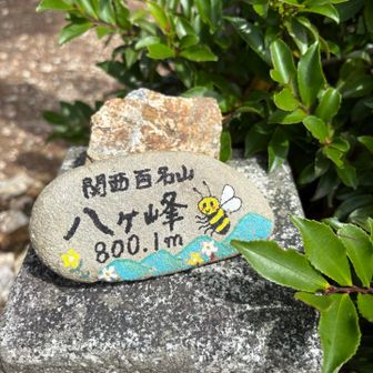 登頂☺️八〇〇mやし八ヶ峰です