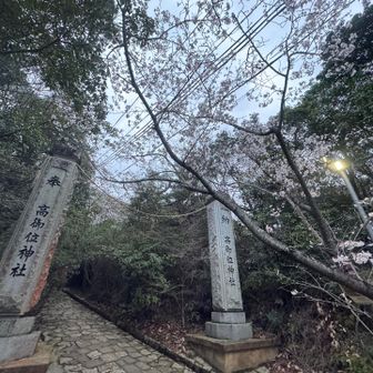 桜は8分咲き🌸

下山17分