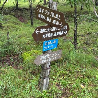 高原ヒュッテの方へ行くと🚾あり