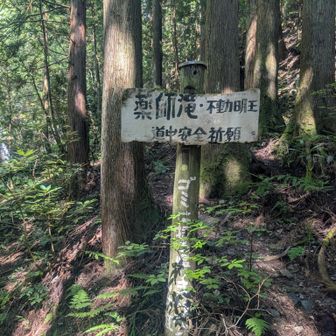 熱中症でダウン→休んでやっと回復、写真撮る元気も出てきた📷️