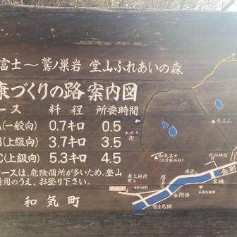 上級向コースの表示にビビりながらもBコースへ