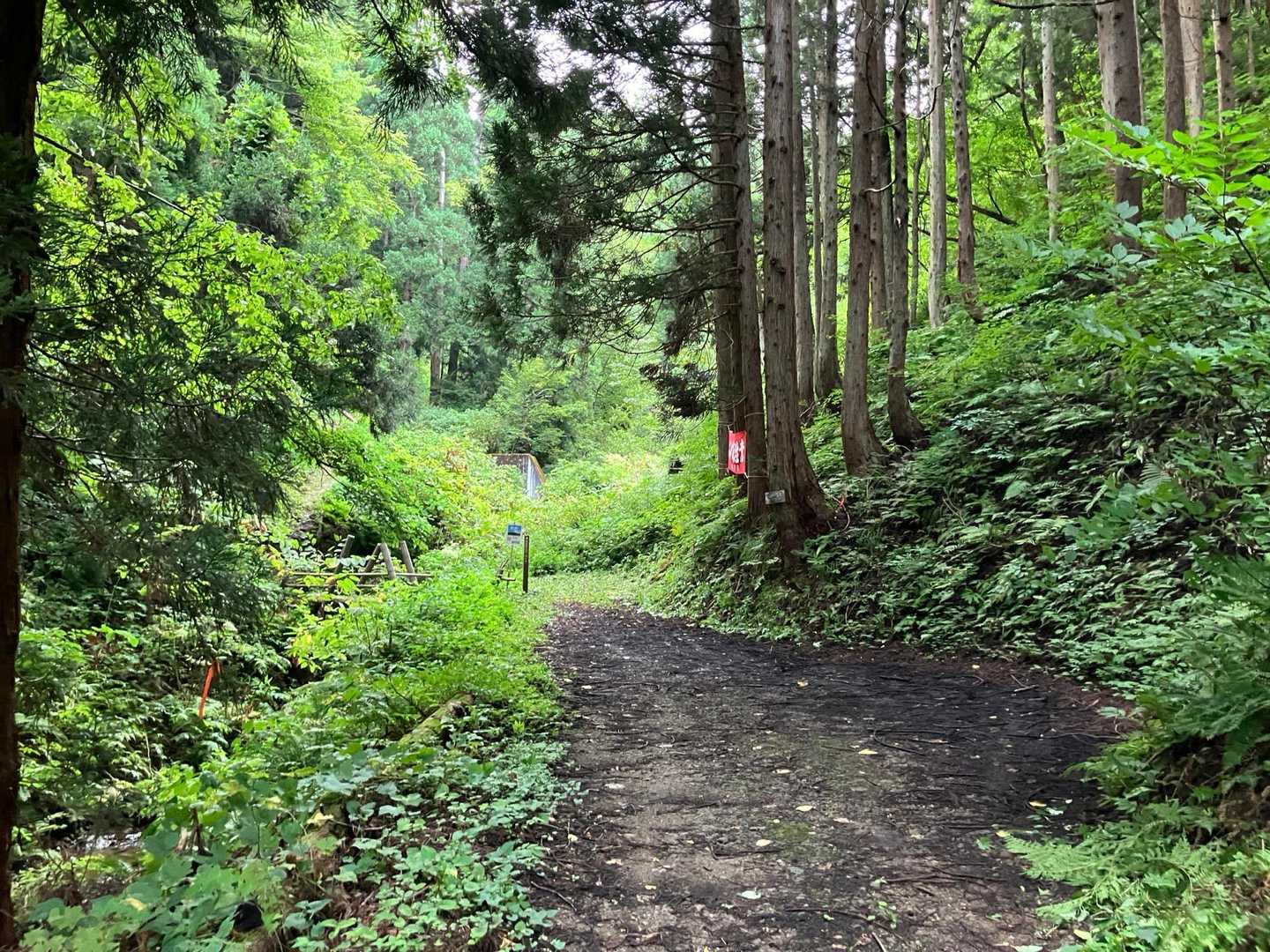 林道終点の登山口。ゆっくり走ればここまで車でも来れたようだ。ここに数台、この少し手前の路肩にも数台駐車可能。 