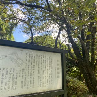 吉見嶽城跡🌸