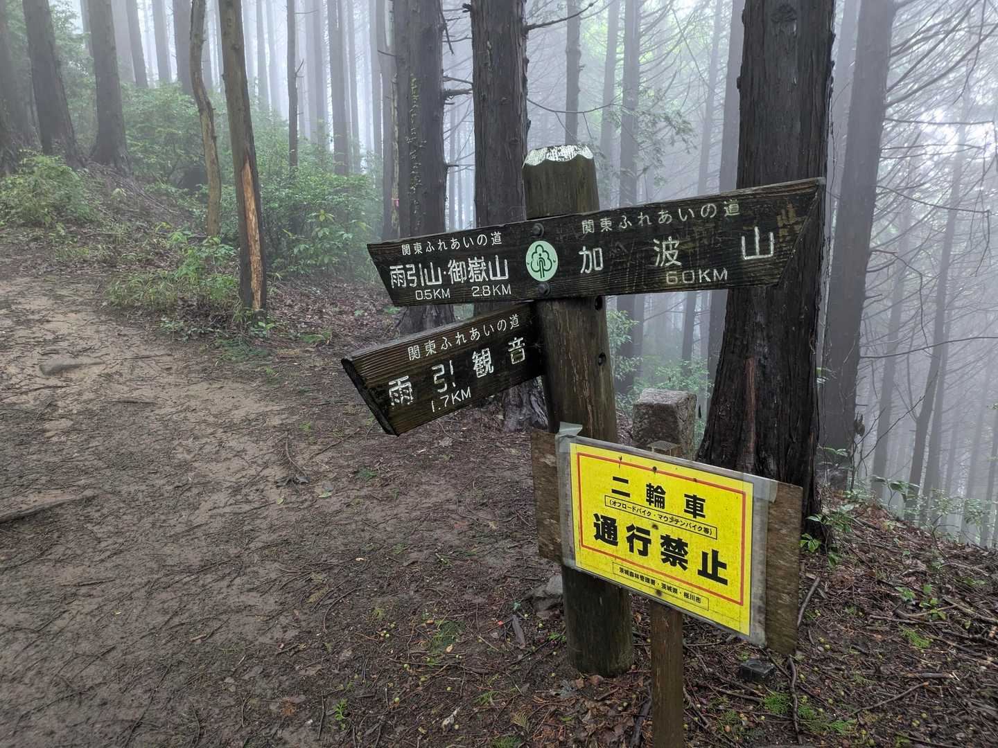 ここから