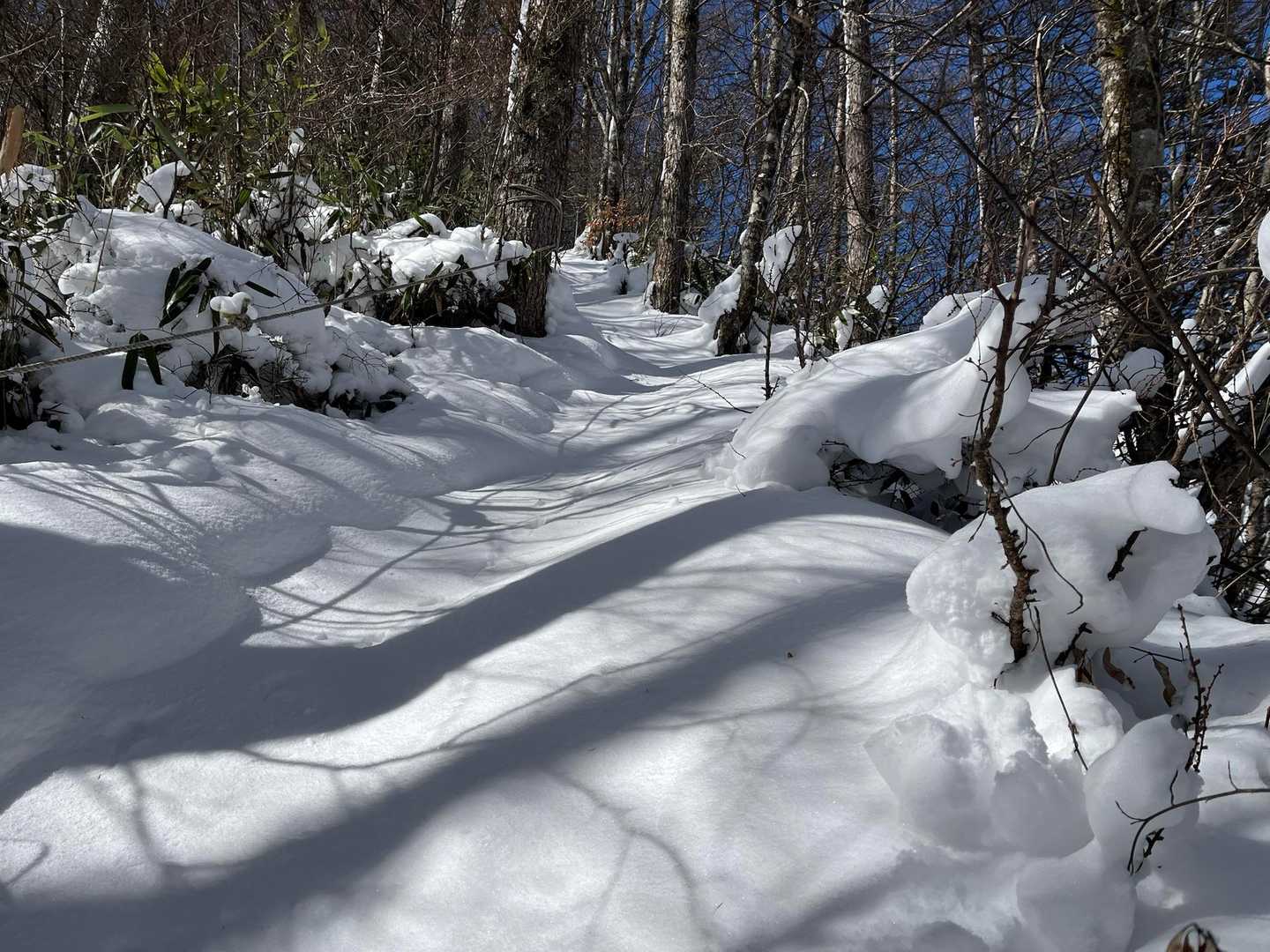 傘山 往復コースの写真