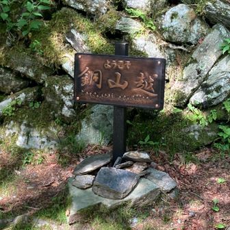 銅山越まで来た！
まだツガザクラ咲いてるかなあ？
ちょっと寄り道します。