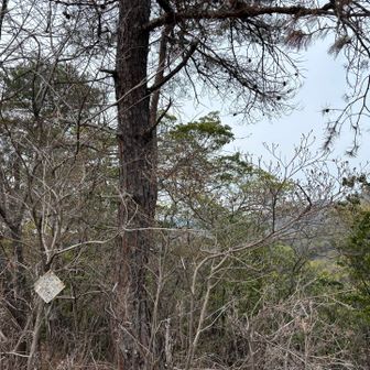 下から見た方良い大文字山⛰️