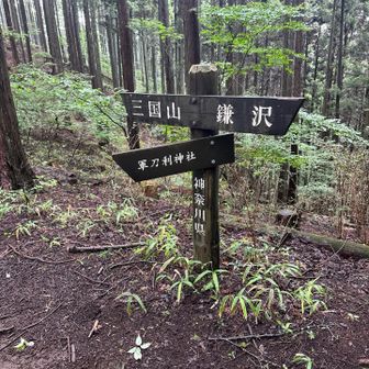 特に撮る物が無かったので　1