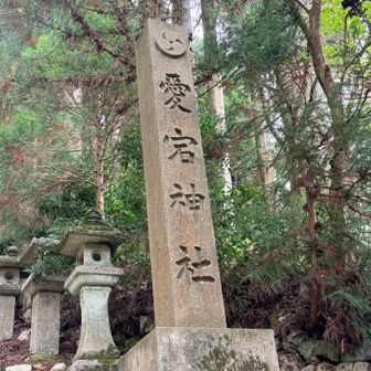 1ヶ月ぶりの愛宕神社