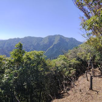 観音岳からの堀坂山の眺め