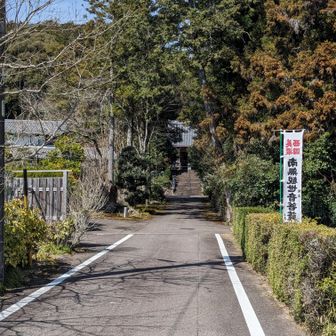 そこは、神社の麓でした⛩️