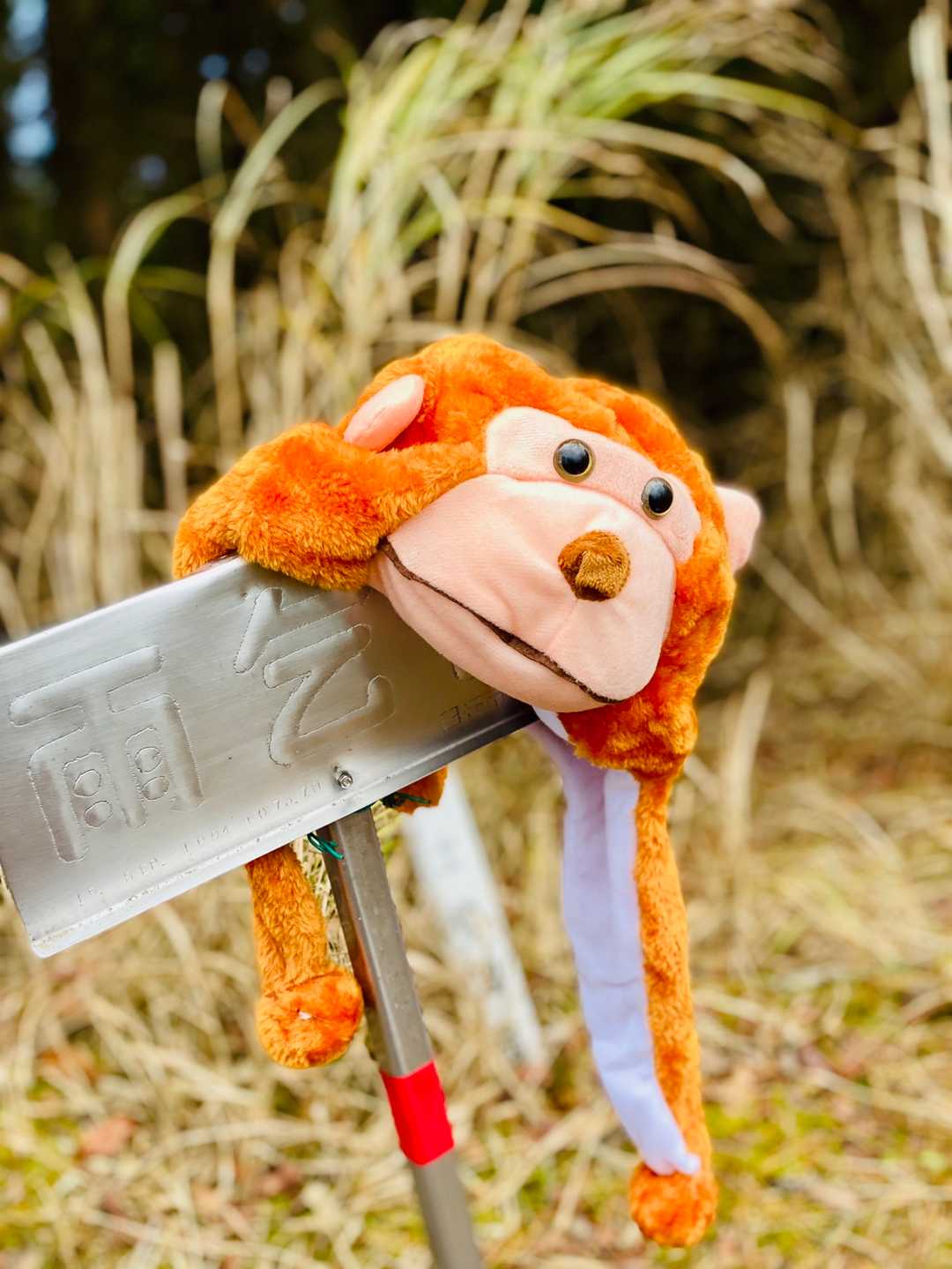エロザル🐒疲れる😂