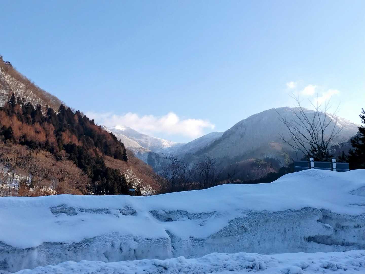 
駐車に手こずり、スタート遅くなっちゃいました😅
ゲート前から神室岳方面、雲がほとんどありません☀✨️

