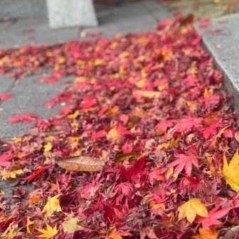 下りてきました。
ちょっとおかわり（てほどでもないけど）
行ってきます(｡･ω･｡)