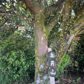 五井山・宮路山・御堂山 結構な急登で汗だくになりながら到着