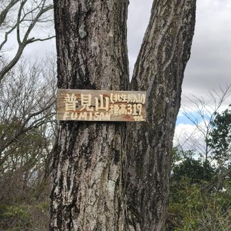 普見山319メートル