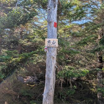 丸山