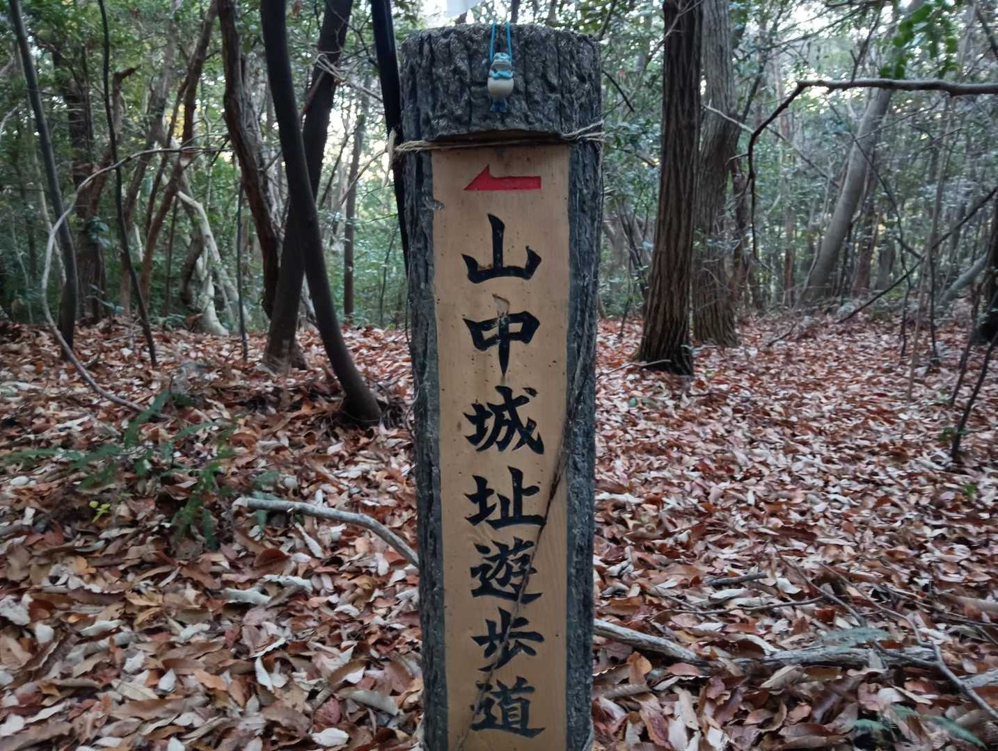 標識柱と同行者🐸