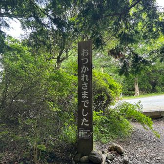 おつかれさん