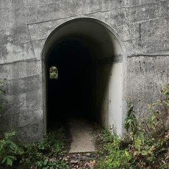 参ります。この吸い込まれそうなトンネルの先が……