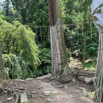 妙義神社の結界
真ん中の石に立つと本堂が正面に見えて涼しい風が吹いてます