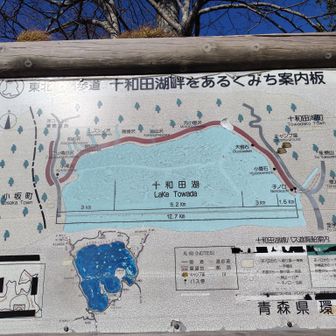 十和田湖畔も歩けるのね🚶