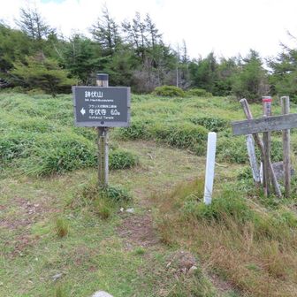 途中にも山頂標識
この辺りは「美ヶ原ロングトレイル」のルートになってるんだね～✌️
