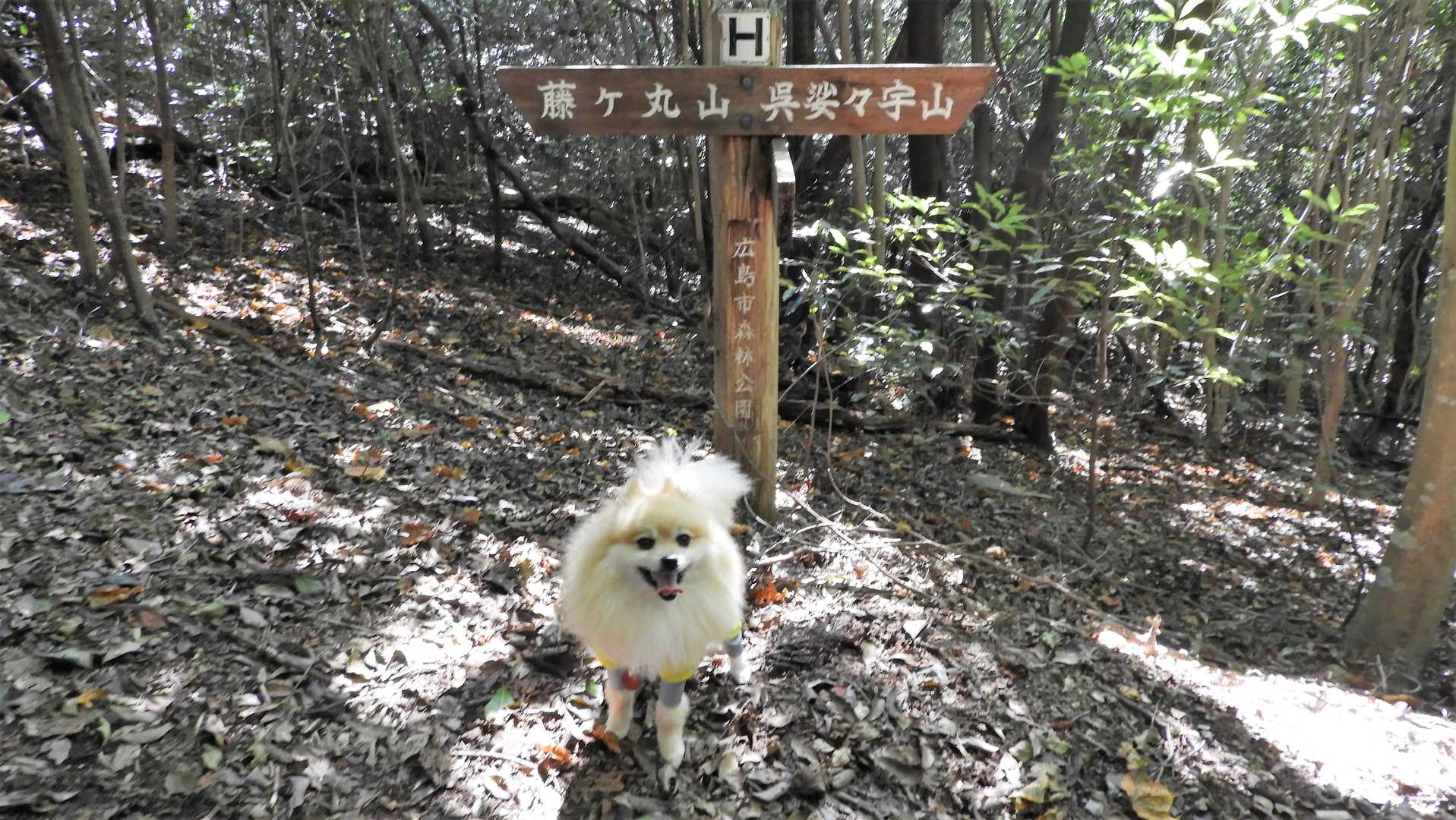 呉娑々宇山へ向かいます