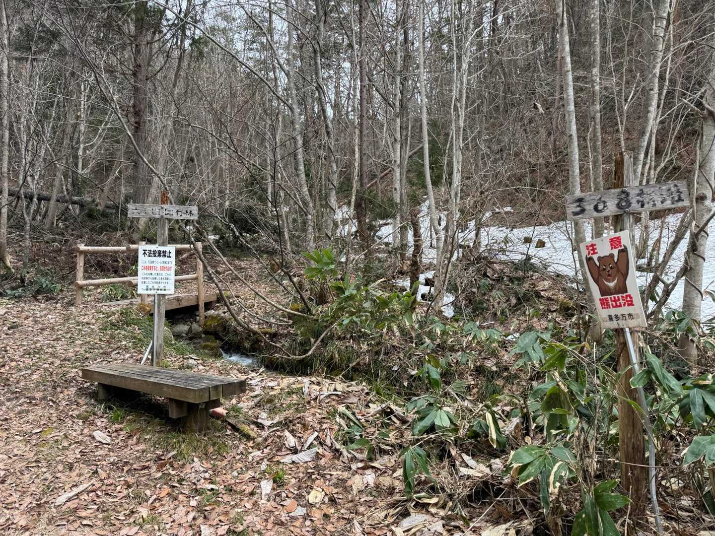 ここから登山道だけど序盤から迂回必要な倒木が連続する