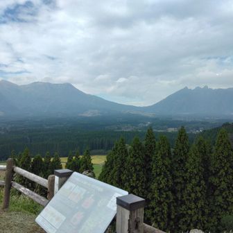 展望台からの眺望🖼️